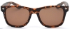 Risky - Matt Tortoiseshell